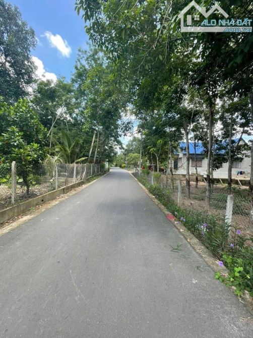 Bán gấp đất gâgn CTY Gỗ Phú Đỉnh dân đông co thổ cư sẵn giá rẻ 695tr - 2