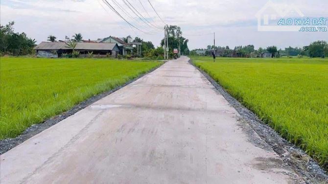 5x31 giá đầu tư chỉ 890 triệu. NỀN duy nhất giá rẻ bổ ngon Hòa Khánh Đông - 3