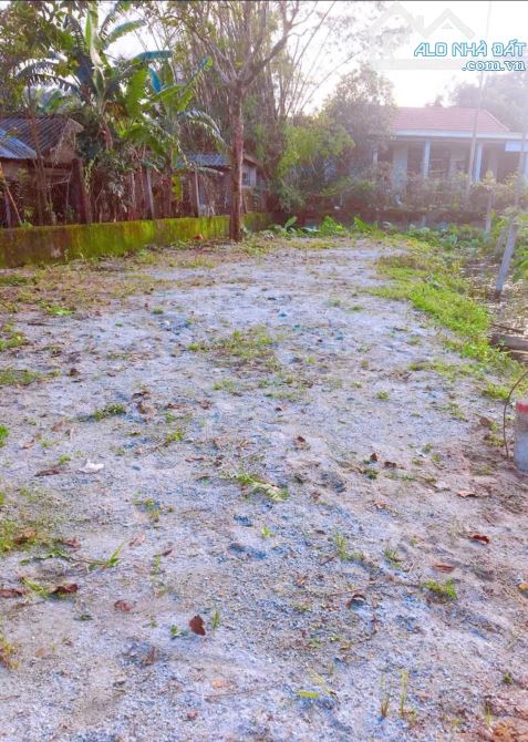 🪴🪴Đất gần 200m2 Kiệt ô tô Khúc Thừa Dụ, Huế giá rẻ - 3