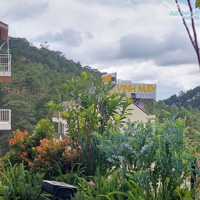 🌲Lô đất 500m Xây Dựng- Hoàng Hoa Thám- Phường 10- Đà Lạt🏡VIEW RỪNG THÔNG NGHỈ DƯỠNG - 3