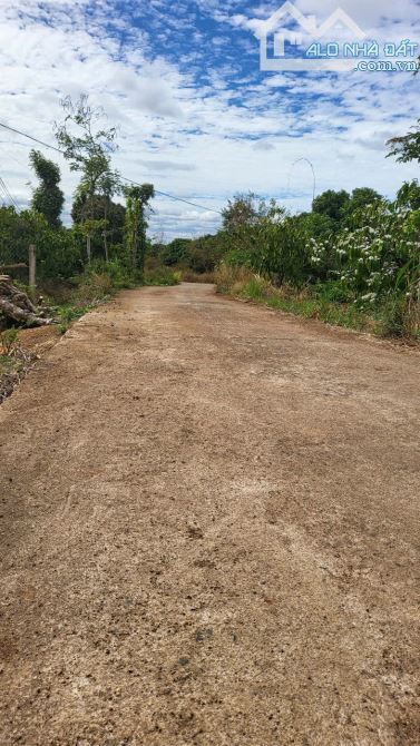 Bán đất thổ cư đường bê tông gần ủy ban xã Dray Sáp giá 40tr 1m. - 4