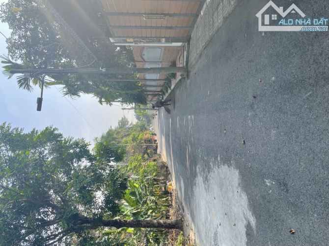 biêt thư bùi công trừng hóc môn 875m2 có hồ bơi cao cấp - 9
