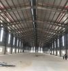 Cho Thuê 4.700m2 Kho Xưởng Đường 379 Huyện Văn Giang - Hưng Yên