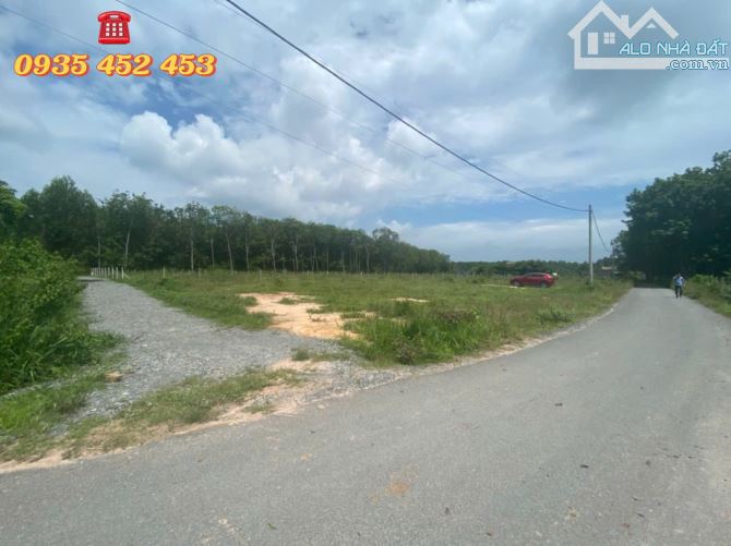Bán đất MT đường nhựa xã Phú Mỹ Hưng, Củ Chi, DT: 98m*28m, QH phủ hồng, thích hợp phân lô