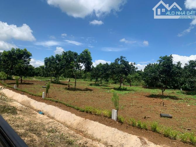 Đất Bảo Lộc mặt tiền đường liên thôn bán cắt lỗ chỉ 590 triệu/100m2 thổ cư