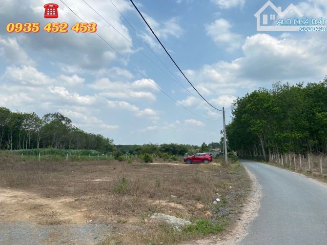 Bán đất MT đường nhựa xã Phú Mỹ Hưng, Củ Chi, DT: 98m*28m, QH phủ hồng, thích hợp phân lô - 1