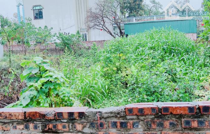 Bánn đất đẹp ô tô vào tận đất Võng La Đông Anh 105m zá rẻ nhất khu vực - 1