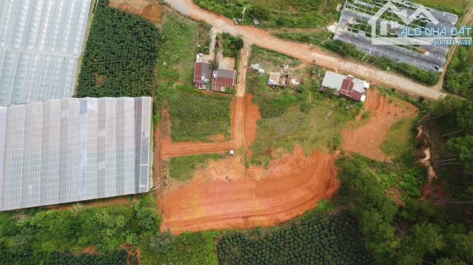 🔥 CƠ HỘI SỞ HỮU ĐẤT NÔNG NGHIỆP VIEW THOÁNG TẠI ĐẠ SAR - LÂM ĐỒNG 🔥 - 3.3 TỶ - 1