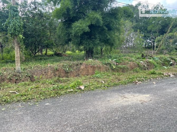 BÁN 1 SÀO MẶT TIỀN DH TÂN PHƯỚC GIÁ 595TR - 1