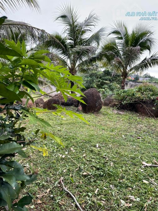 Bán đất làm nhà vườn view đẹp tại Hoà Khánh, BMT , Đắk Lắk - 1