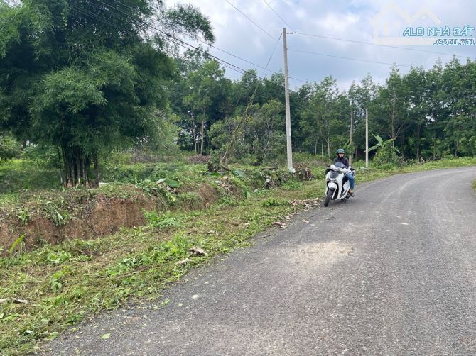 BÁN 1 SÀO MẶT TIỀN DH TÂN PHƯỚC GIÁ 595TR - 2