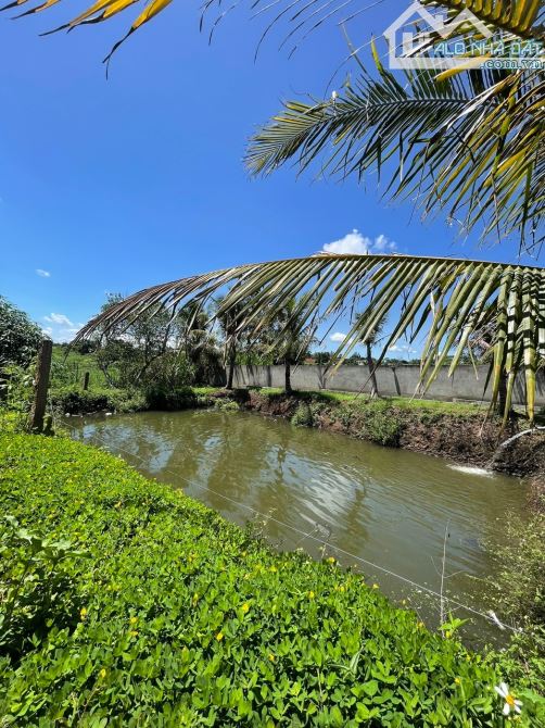 Bán đất làm nhà vườn view đẹp tại Hoà Khánh, BMT , Đắk Lắk - 2