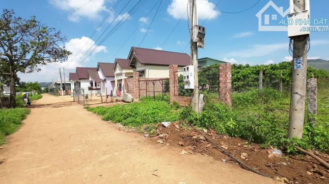 BÁN ĐẤT TÀ NUNG GIÁ RẺ - (DT 625M2 NGANG 10M FULL THỔ CƯ) - KHU VỰC NHIỀU KDL NỔI TIẾNG - 2