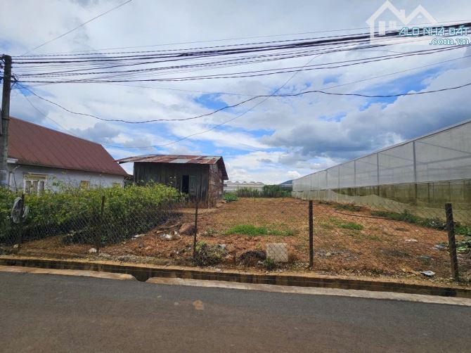 459 m2 có sẵn 400 thổ cư cách quốc lộ 200 m đường nhựa 6m xã xuân thọ, đà lạt - 2