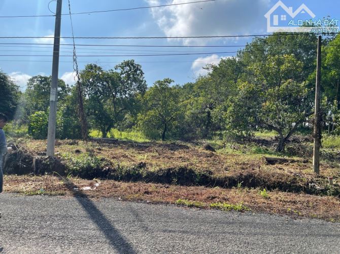 BÁN 1 SÀO MẶT TIỀN DH TÂN PHƯỚC GIÁ 595TR - 3