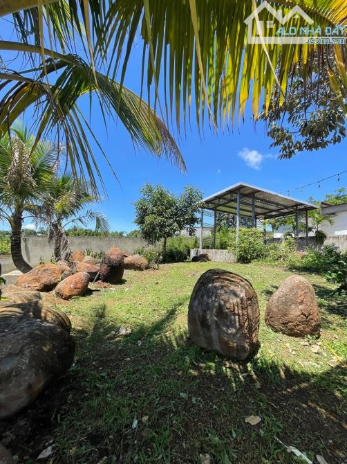 Bán đất làm nhà vườn view đẹp tại Hoà Khánh, BMT , Đắk Lắk - 3
