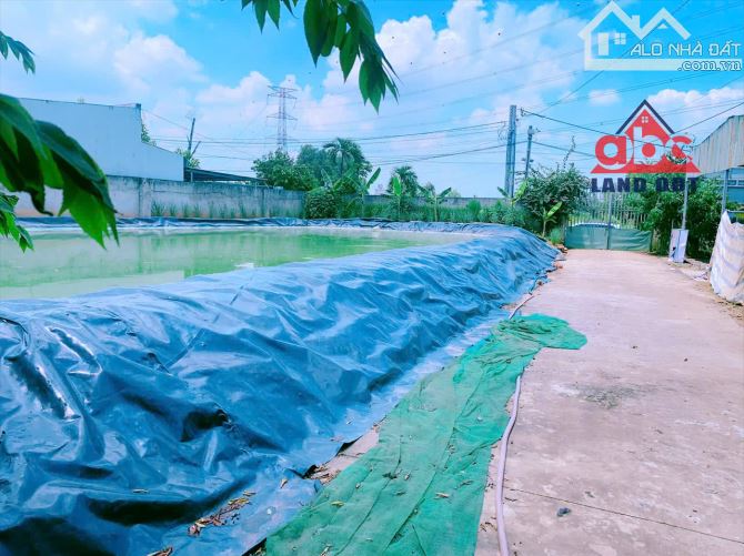 bán 2000m2 đất Xã Thiện Tân - có có thổ cư - qui hoạch đất ở - giá 5tỉ990 triệu - 4