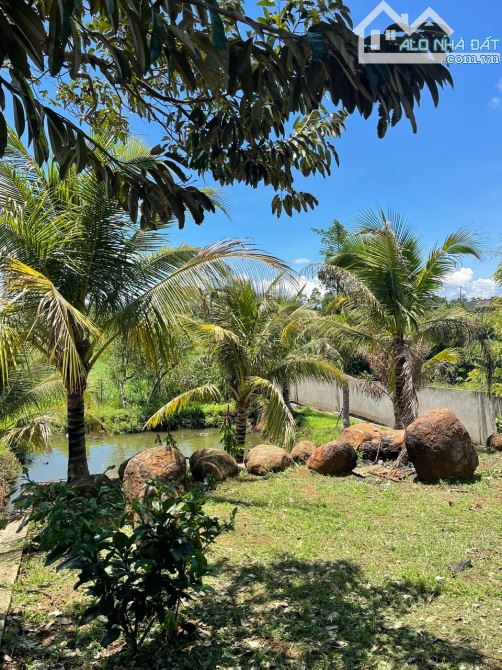 Bán đất làm nhà vườn view đẹp tại Hoà Khánh, BMT , Đắk Lắk - 4