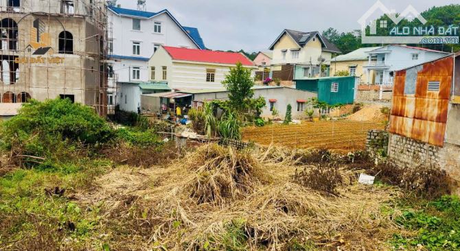BÁN ĐẤT MẶT TIỀN TRẦN ĐẠI NGHĨA – VỊ TRÍ ĐẮC ĐỊA GẦN KDL THUNG LŨNG TÌNH YÊU - 11.5 TỶ - 4