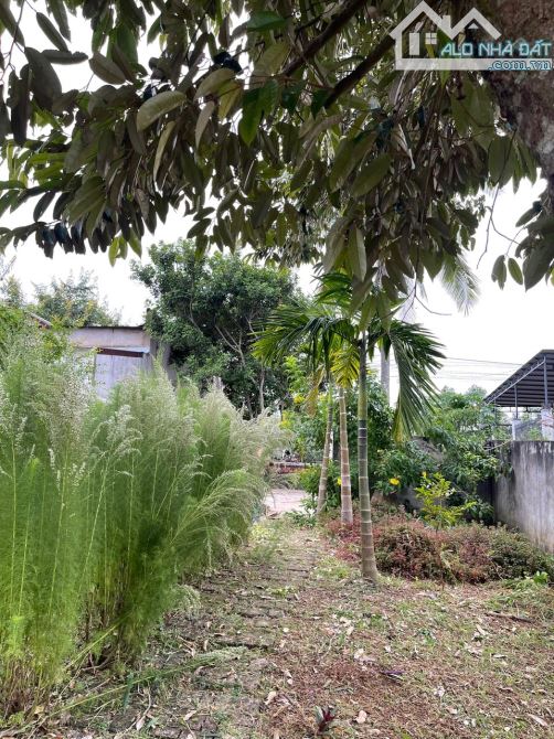 Bán đất làm nhà vườn view đẹp tại Hoà Khánh, BMT , Đắk Lắk - 5