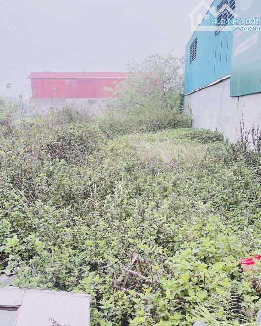 Đất đẹp ngõ thông ô tô tải 82m zá rẻ nhất khu vực Tiên Dương