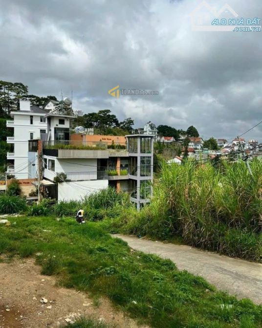 Đất biệt lập view đẹp 348m2 sẵn 200m2 có thể lên full thổ đường ô tô Nam Hồ P11 Đà Lạt