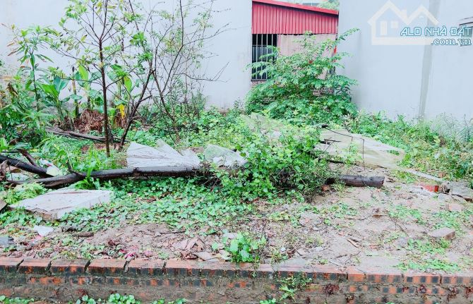 Bánn Hoa Hậu Vân Nội ngõ thông ô tô chạy vòng quanh zá rẻ - 1