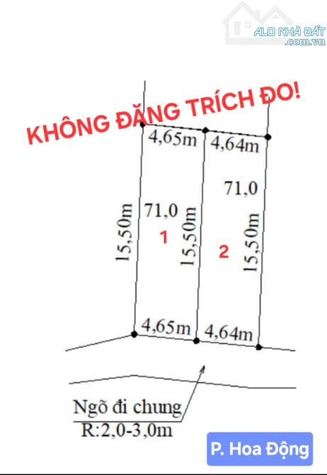 Bán 2 lô F0 Hoa Động ngay mặt 203 vào 200m ô tô morning tận đất 71m giá 1,5x tỷ - 1