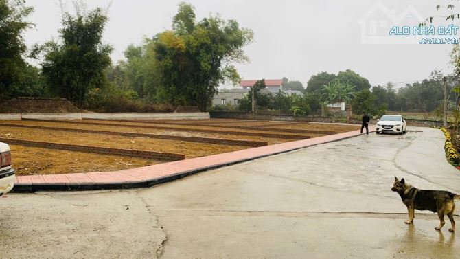 Cần Bán đất tại khu công nghiệp xã nhuận trạch , huyện lương sơn tỉnh hoà bình - 1