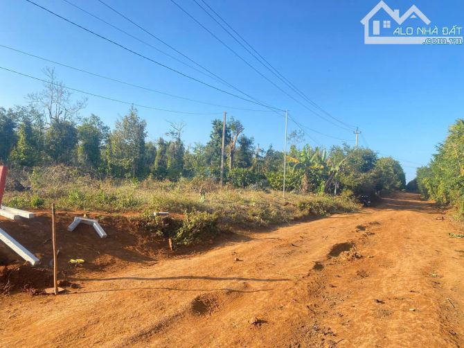 Giá rẻ nhất khu vực khu công nghiệp Phú Xuân Ea Drơng - Cư Mgar - Đăk Lăk - 1