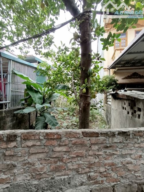 💥💥CẦN BÁN GẤP - TRUNG TÂM YÊN VIÊN  - 🔥 BÁN ĐẤT HÀ HUY TẬP - GIA LÂM 106M2 X 4M 6 TỈ - 1