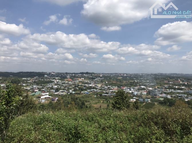 3.5 sào Lộc Châu Bảo Lộc view toàn cảnh. - 2