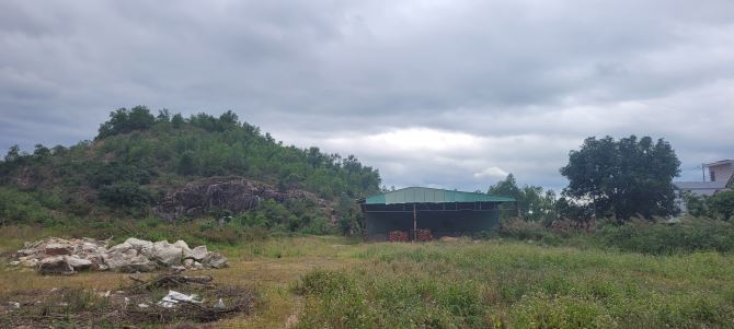 Bán 3ha đất kho xưởng KCN Long Mỹ - 2