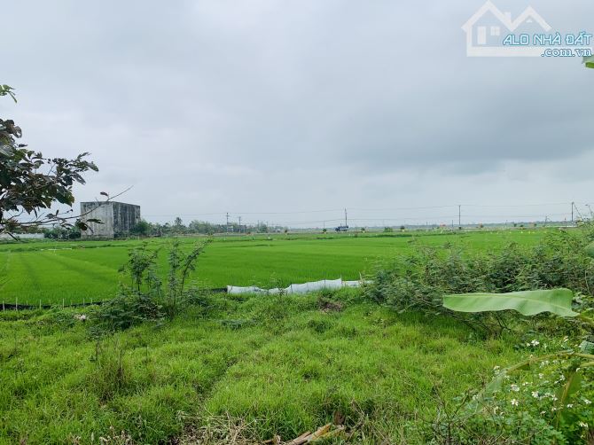 Bán Đấy Triêm Đông 2 - Điện Phương - 80m2 - Lô Góc - Mt 6m5 - 7xx. - 2