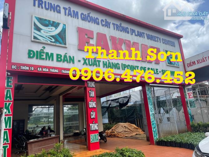 Bán đất hẻm 75 Nguyễn Lương Bằng, xã Hoà Thắng, BMT - 2