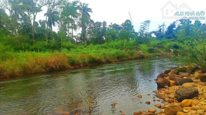 Bán đất view suối gần ngay TT. Phú Lộc - Tp.Huế thích hợp làm khu nghĩ dưỡng, homestay - 2