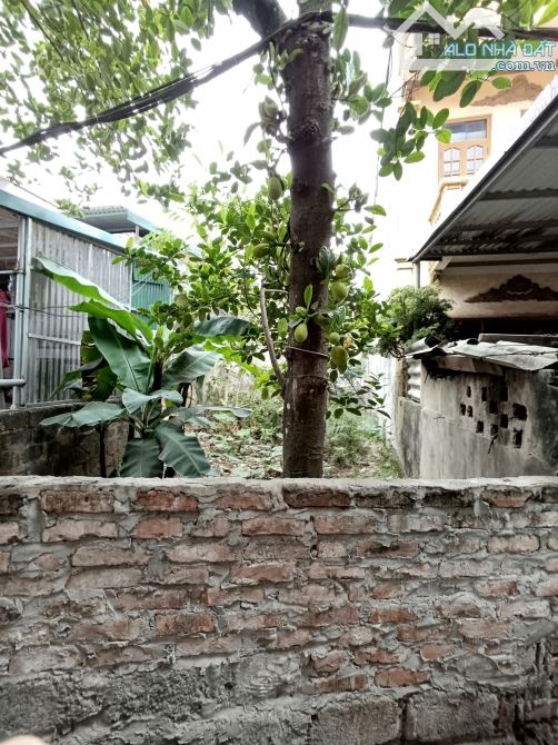 💥💥CẦN BÁN GẤP - TRUNG TÂM YÊN VIÊN  - 🔥 BÁN ĐẤT HÀ HUY TẬP - GIA LÂM 106M2 X 4M 6 TỈ - 2