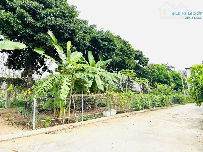 78 Tỷ-Bán Đất MT Sông Sài Gòn 311m2(11mx29m) Đường 11,An Phú,Q2-CTXD 1 Hầm 5 Tầng - 3