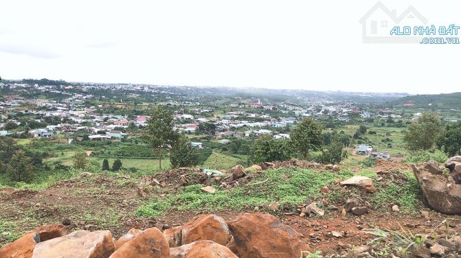 3.5 sào Lộc Châu Bảo Lộc view toàn cảnh. - 4