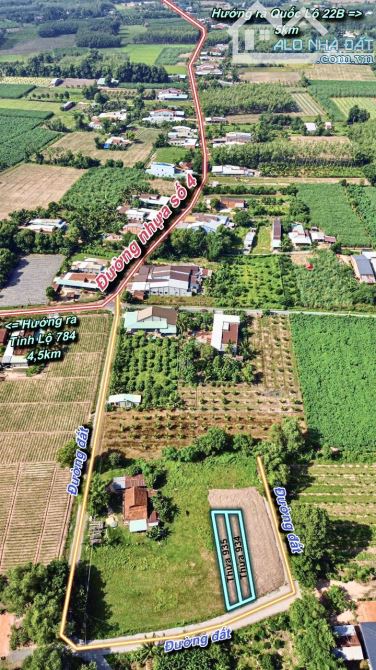 ✨ 2 Nền: 5x31m (Full ONT) sát KCN Hiệp Thạnh, đường đá mi rộng 6M, nhà dân san sát - 389Tr