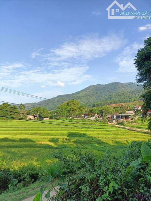 Bán 1622,7m2 view cánh đồng mặt tiền 30m tại Hợp Hoà Lương Sơn. Đường thông, view số 1
