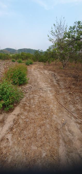 ❌❌HÀNG ĐẦU TƯ VÍP NHA ANH EM CHỈ 145TR/SÀO CÓ THƯƠNG LƯỢNG ❌❌❌BÁN MẢNH ĐẤT 2ha1