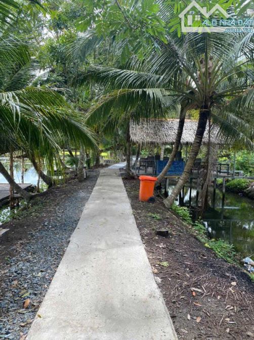 Chuyển nhượng lô đất hơn 23.000m2 cách Nhà Thờ Cái Chanh 500m mặt tiền lộ hơn 51m - 4
