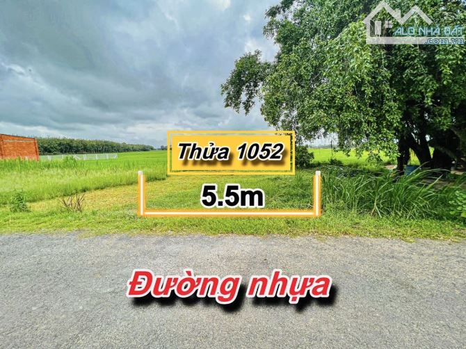 ✨ 5.5x40m (Full ONT). Mặt đường Nhựa 2 Ô tô né nhau, KDC hiện hữu, View cánh đồng - 319Tr - 2