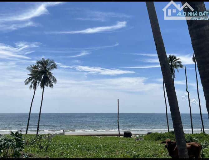 💥Bán lô đất mặt tiền đường Huỳnh Thúc Kháng - phường Mũi Né - TP Phan Thiết - 2