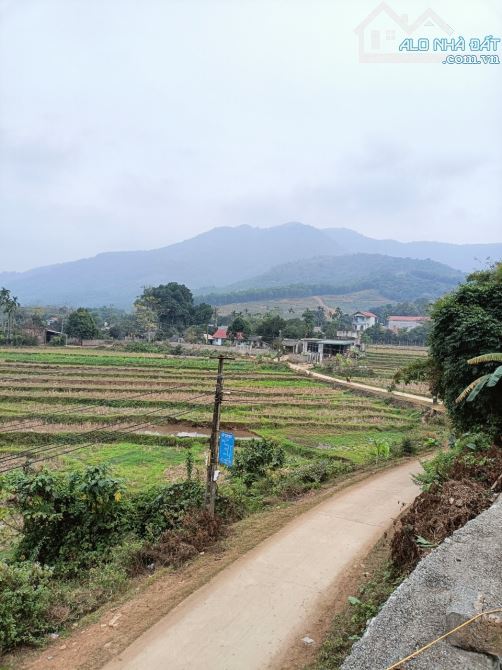 Bán 1622,7m2 view cánh đồng mặt tiền 30m tại Hợp Hoà Lương Sơn. Đường thông, view số 1 - 3