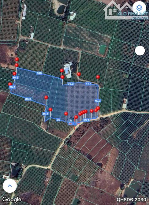 🍀 BÁN ĐẤT VƯỜN THANH LONG TẠI XÃ HÀM MỸ SÁT NHẬP VÀO TP. PHAN THIẾT - BÌNH THUẬN - 3