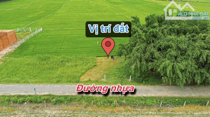 ✨ 5.5x40m (Full ONT). Mặt đường Nhựa 2 Ô tô né nhau, KDC hiện hữu, View cánh đồng - 319Tr - 3