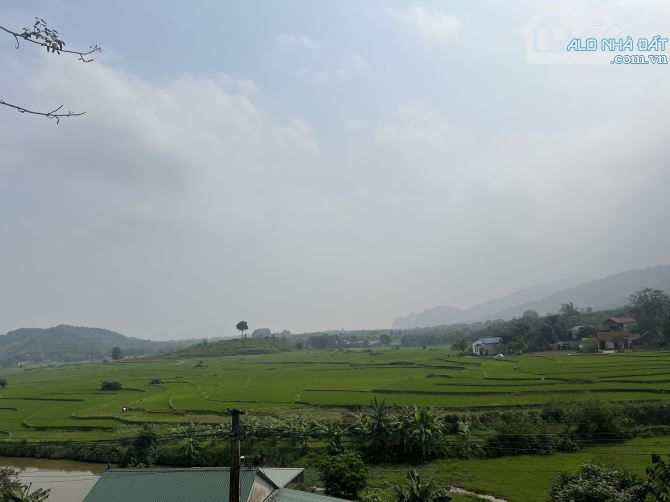 Bán 1622,7m2 view cánh đồng mặt tiền 30m tại Hợp Hoà Lương Sơn. Đường thông, view số 1 - 4