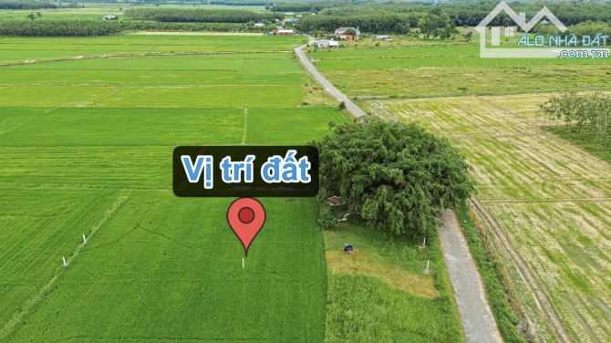 ✨ 5.5x40m (Full ONT). Mặt đường Nhựa 2 Ô tô né nhau, KDC hiện hữu, View cánh đồng - 319Tr - 5